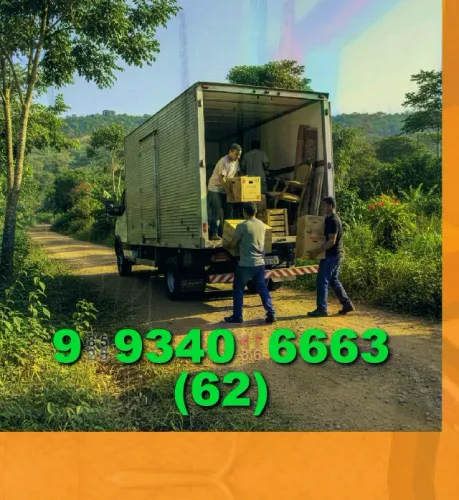 Frete para Jardim Goiás, Setor Bueno e Aldeia do Vale! Segurança garantida!