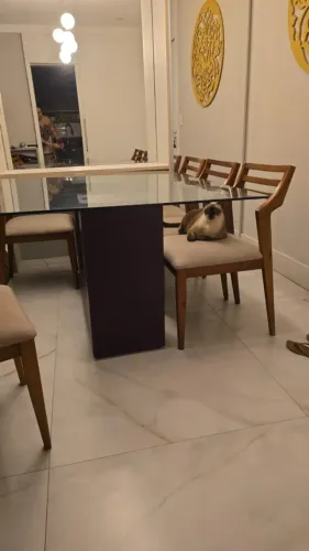 Mesa com tampo de vidro e pé laqueado na cor roxa. Tamanho 1.80m X 1.20m (somente a mesa)