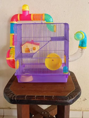 Gaiola para Hamster