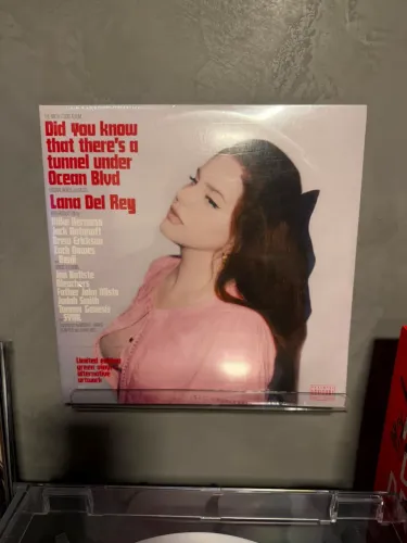 did u know vinil lana del rey