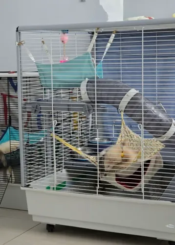 Gaiola para Ferret furão Ferplast perfeito estado