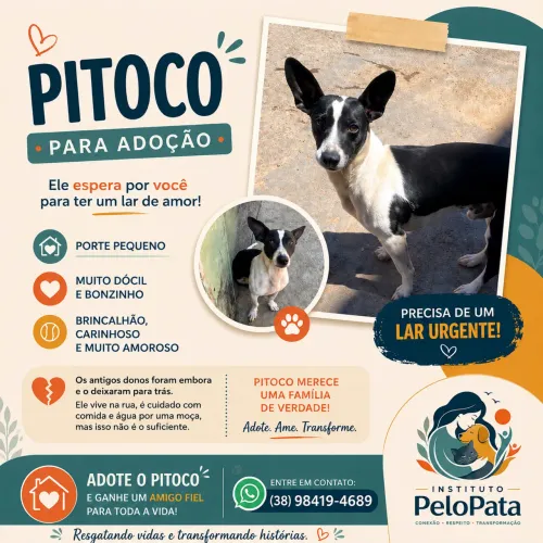 Adote!