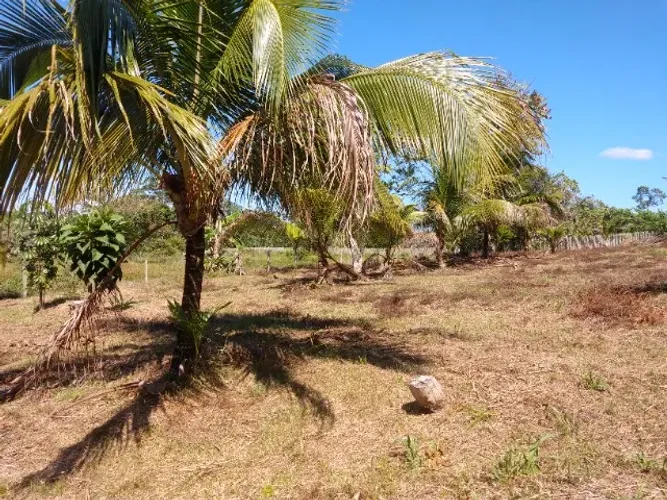 TERRENO (Ao lado de Universidade)