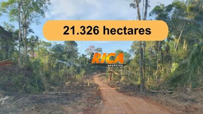 Fazenda para Manejo à venda em Feijó/AC
