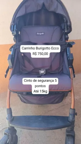 Carrinho Burigotto Ecco