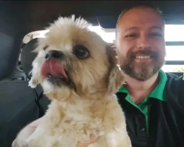 Pet hotel para cães 