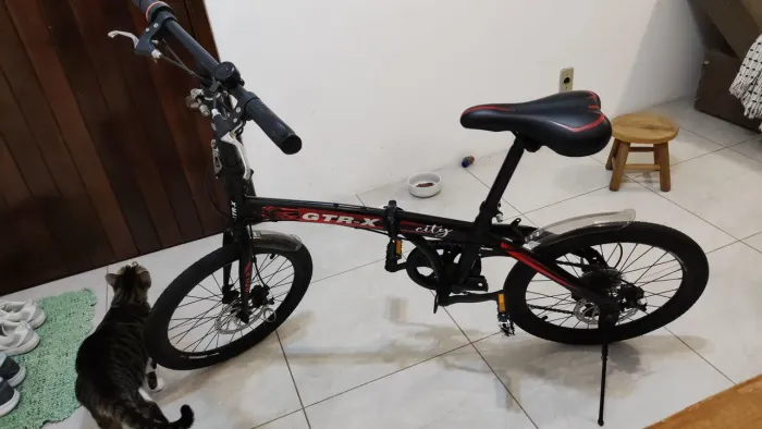 Bicicleta dobrável GTR-X City aro 20