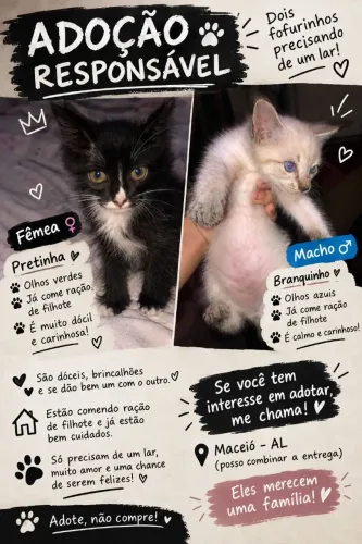 Dois filhotinhos procurando um lar cheio de amor! ?