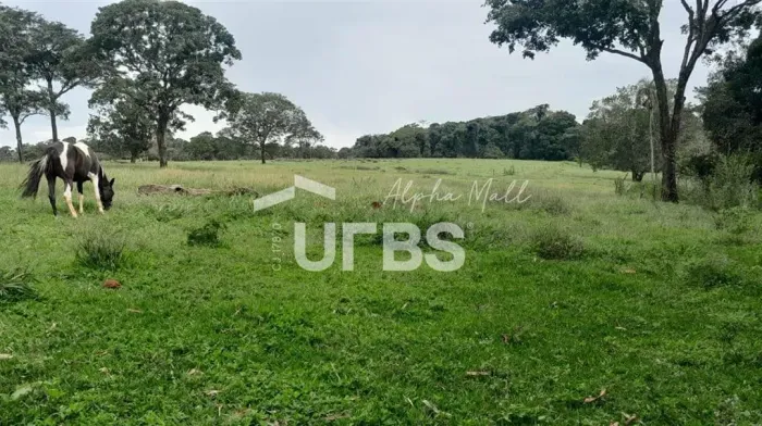 Excelente fazenda em Anápolis, na região do DAIA.