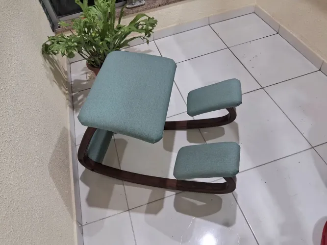 Cadeira Ergonômica