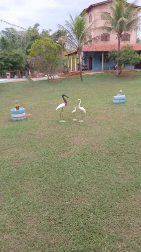Vdo / Troco linda chácara com Piscina