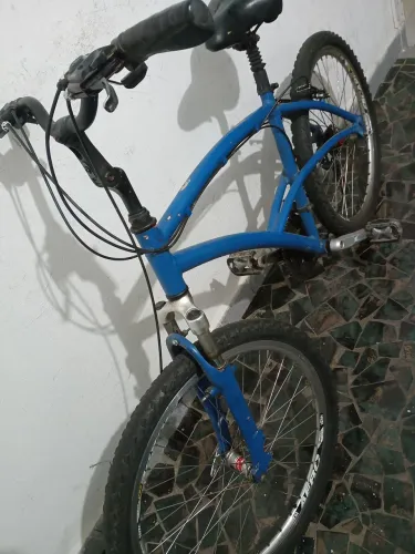 Caloi 100