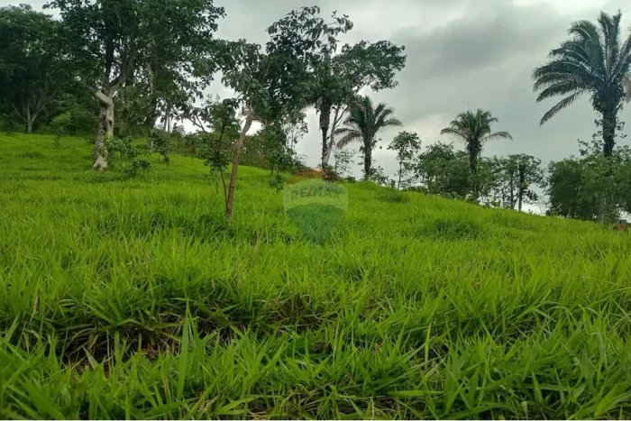 Fazenda à venda Água Fria-GO; 300 ALQUEIRES ( 1.450 hectares), para PECUÁRIA margens da Ro