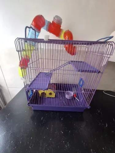 Vendo gaiola completa conforme as foto ideal para hamster ? com acessórios completa .