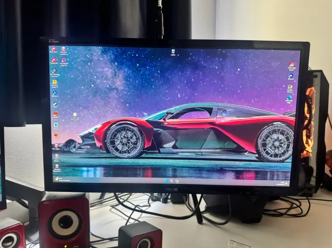 Monitor Assis