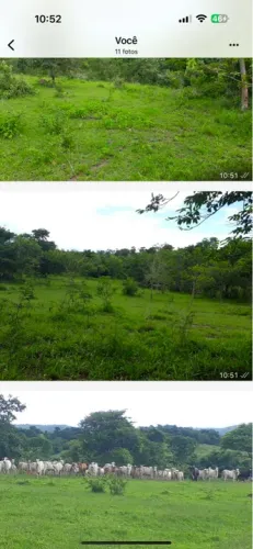 Fazenda dupla aptidão Douradoguara