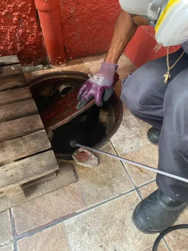 Desinsetização, desratização, controle de pombos, Pragas e Vetores!