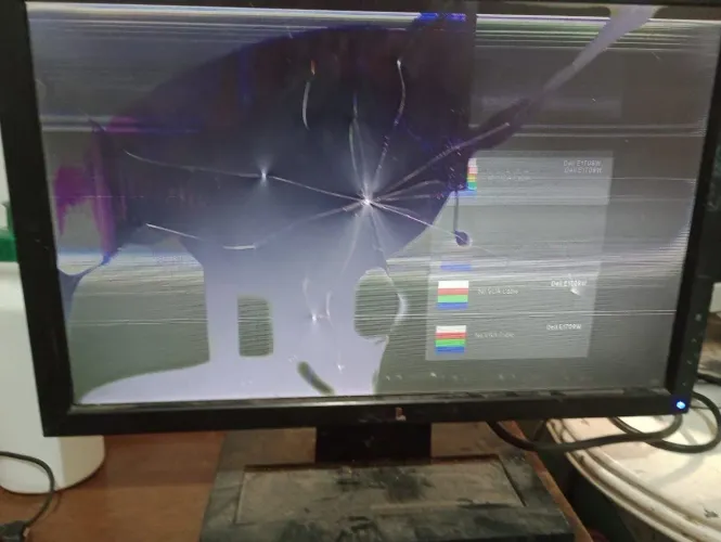 Monitor Dell E1709W com defeito