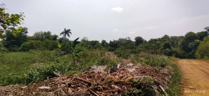 //Lote em Açutuba com 4000 m2