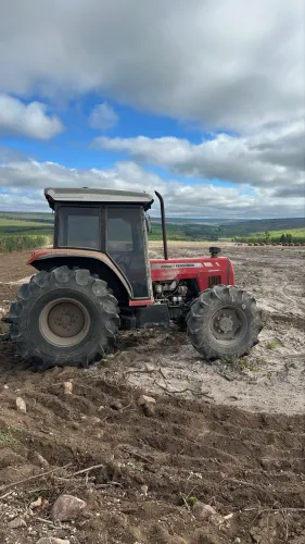Massey Ferguson 292