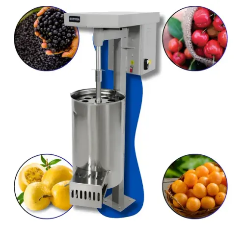 Despolpadeira De Frutas 20 Litros 0,5Cv 220v Metvisa