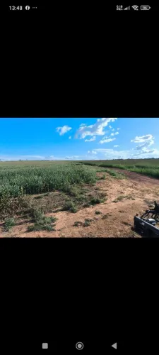 Fazenda Arrendamento 1.400hec plantando, + 6.600 pra abrir aos poucos em torixoreu MT.