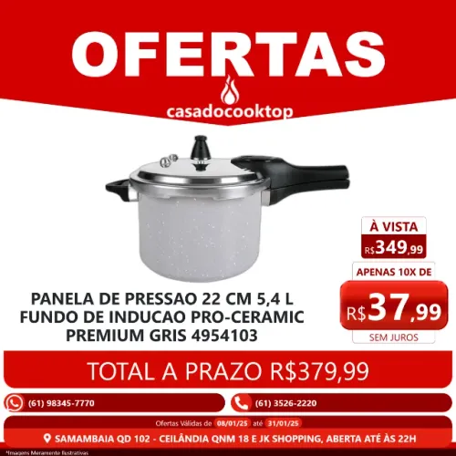Panela De Pressão 22 Cm 5,4 L Fundo De Indução Pro-Ceramic Premium Gris