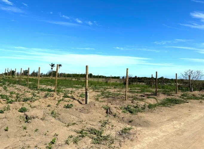 Lote Praia dos Cacões/ Lagoa do Siri