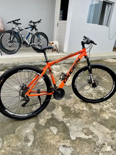 Bicicleta aro 29
