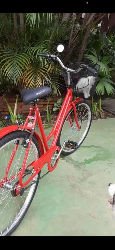 Bicicleta caloi estilo tropical