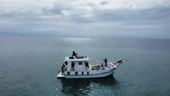 Barco de esporte/recreio