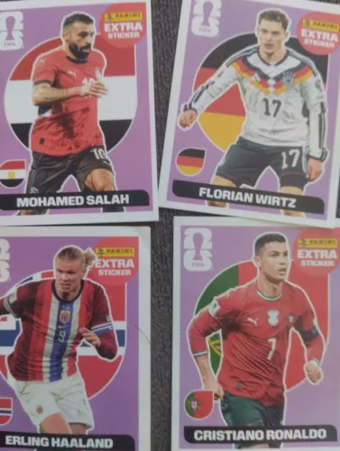 Panini 