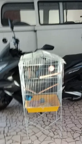 Vendo gaiola grande 