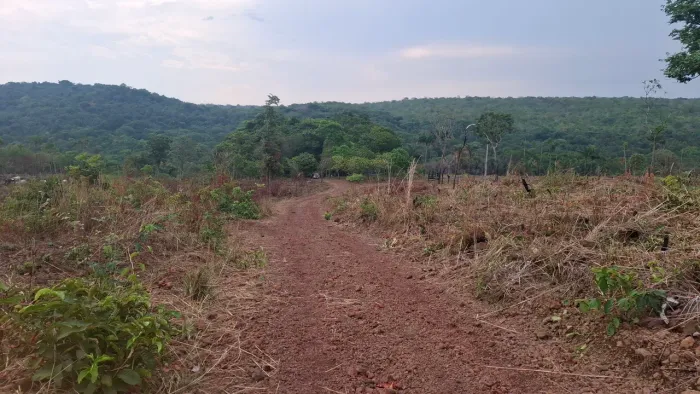 CHACARA 35KM DE PALMAS SENTIDO APARECIDA 