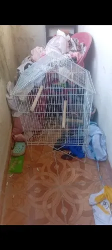 Vende se essa gaiola