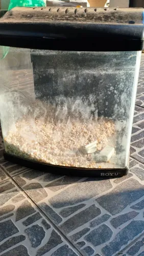 Aquário Boyu 100l