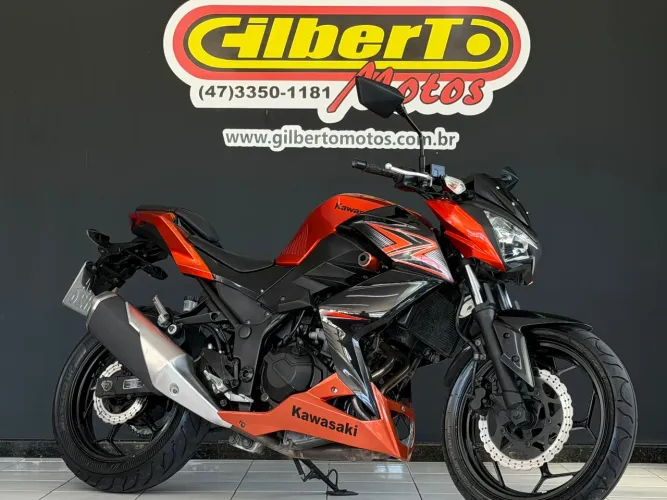 Z 300 LARANJA 2015/2016