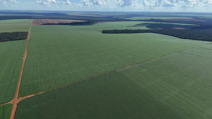 Fazenda de arrendamento 2.230 hec em Nova Ubiratã MT.