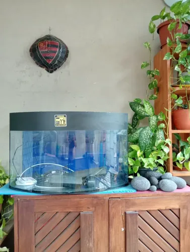 Aquário com 2 bombas e pedras decorativas 