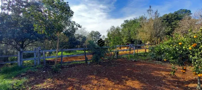 Área de Terras à venda no Bairro Planalto em Morro Reuter RS REF: 986