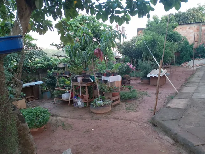 Terreno a venda.