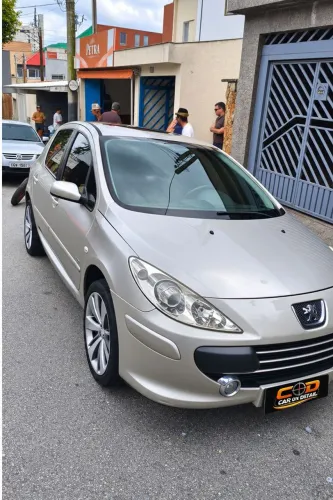 Peugeot 307 Soleil/ Presence 1.6/1.6 Flex 16V 5P 2010