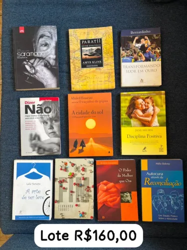 Lote livros