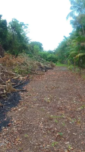 Vende se terreno na ilha de cotijuba 10x68 