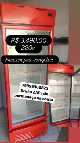 expositor vertical pra congelar auto serviço