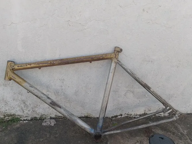Quadro de bike labrador