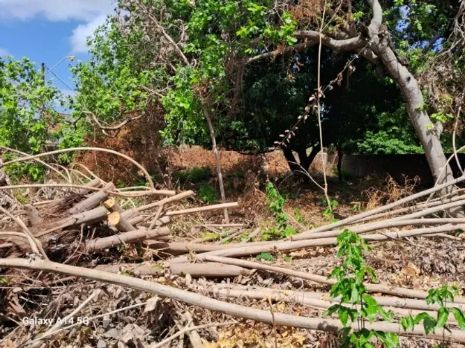 ? VENDO LOTE DE TERRENO TODO MURADO! ?    ? Medição: 8 x 19 metros