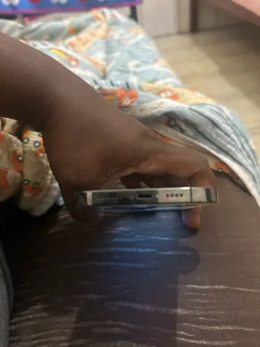 iPhone 13 Pro Max 256 GB