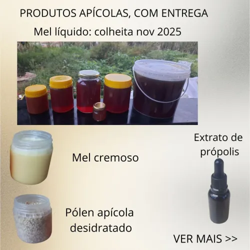 Mel puro e cru, pólen apícola e extrato de própolis. Entrego(ver mapa)