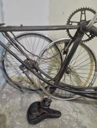 Bicicleta caiçara 